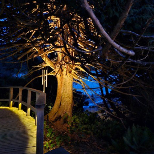 Wickaninnish Inn - uplighting tree